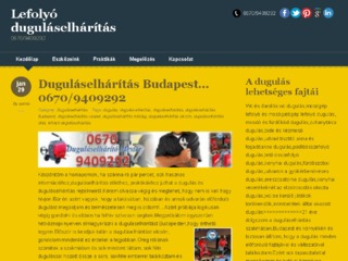 Részletek : Lefolyó duguláselhárítás